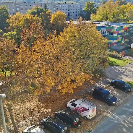 Barcika Kolor Szallas Daire *